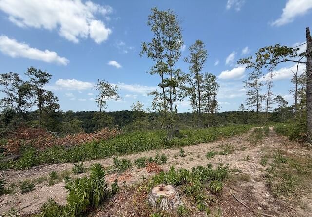 000 State Highway O, Ava, MO 65608