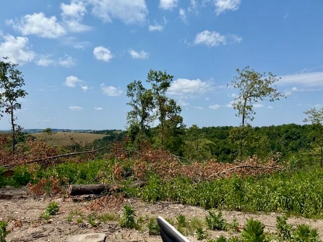 000 State Highway O, Ava, MO 65608