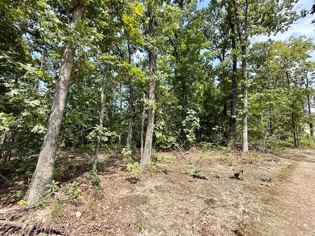 000 State Highway O, Ava, MO 65608