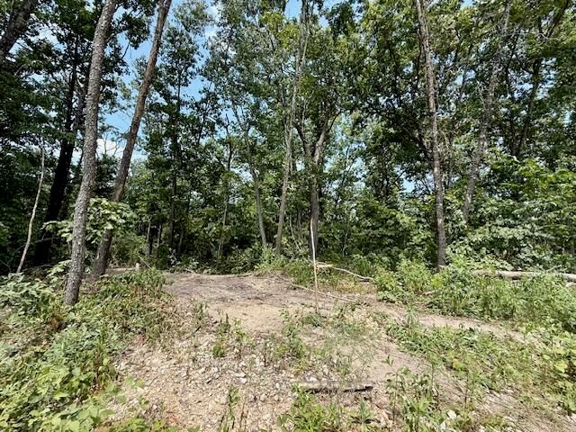 000 State Highway O, Ava, MO 65608