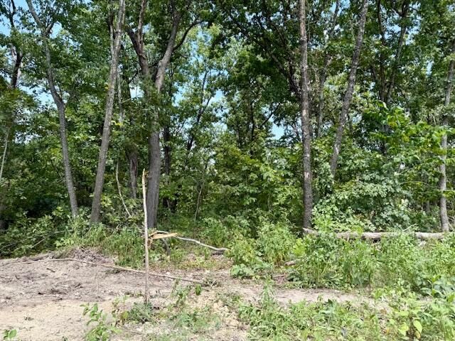 000 State Highway O, Ava, MO 65608