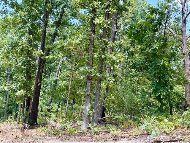 000 State Highway O, Ava, MO 65608