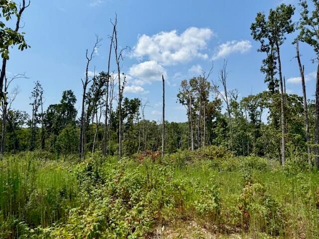 000 State Highway O, Ava, MO 65608