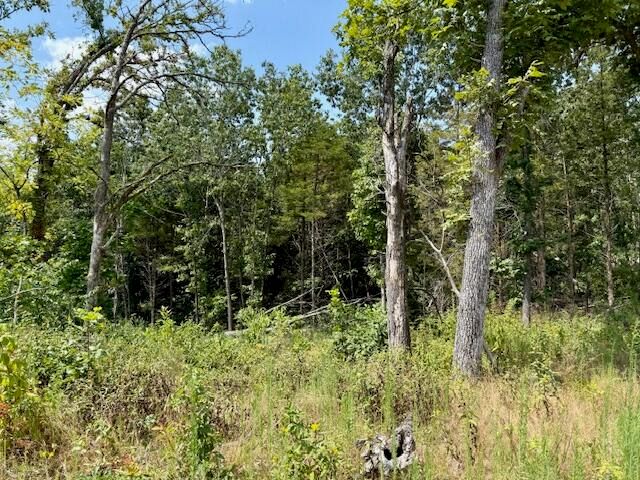 000 State Highway O, Ava, MO 65608