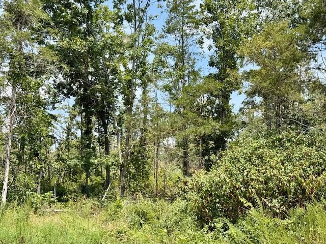 000 State Highway O, Ava, MO 65608