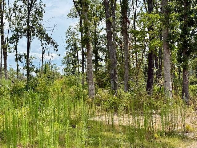 000 State Highway O, Ava, MO 65608