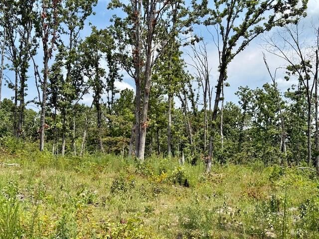 000 State Highway O, Ava, MO 65608