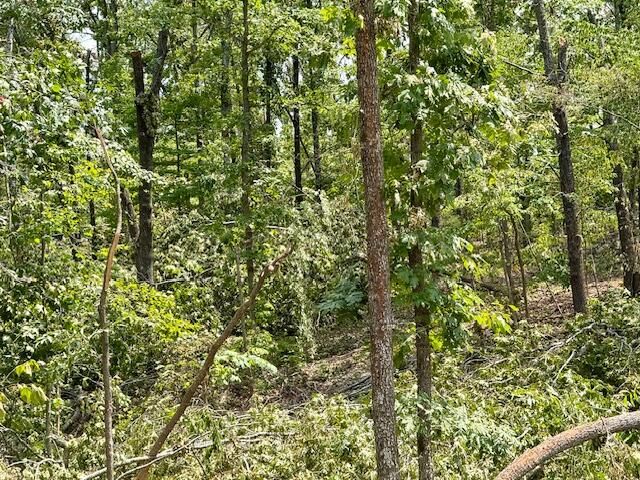 000 State Highway O, Ava, MO 65608