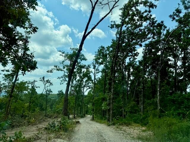 000 State Highway O, Ava, MO 65608