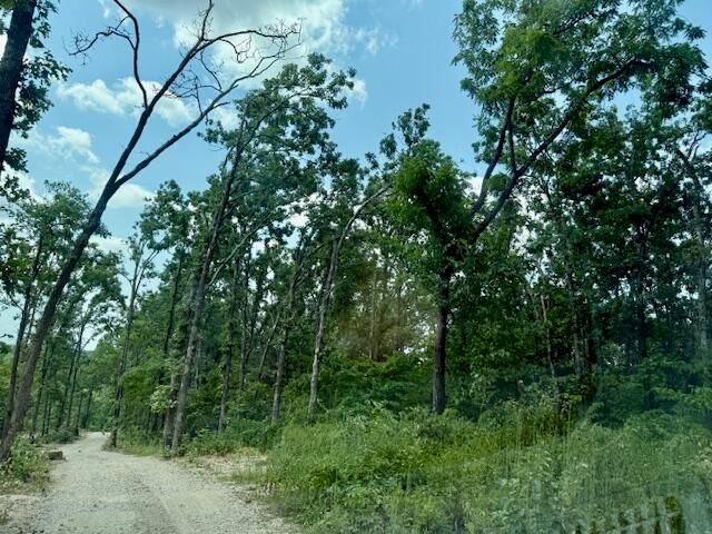 000 State Highway O, Ava, MO 65608