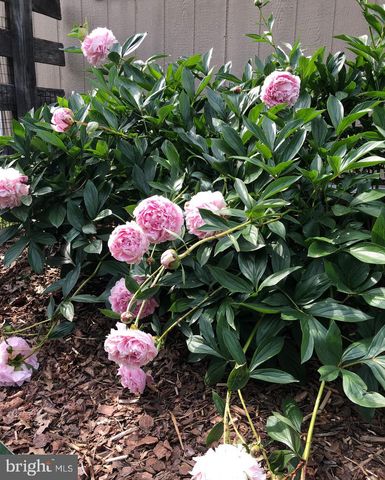 4354 MISTY RIDGE DR, Haymarket, VA 20169