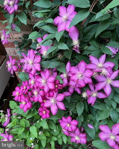 4354 MISTY RIDGE DR, Haymarket, VA 20169