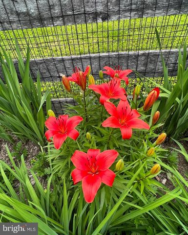 4354 MISTY RIDGE DR, Haymarket, VA 20169