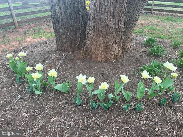 4354 MISTY RIDGE DR, Haymarket, VA 20169