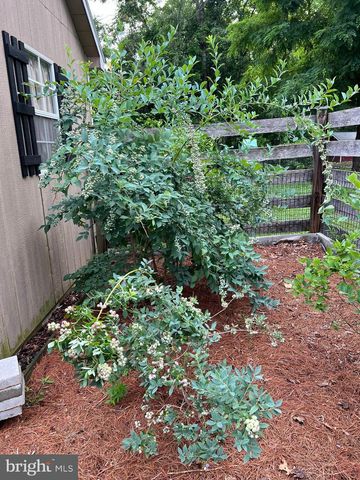 4354 MISTY RIDGE DR, Haymarket, VA 20169