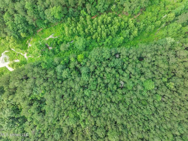 40 Acres Hwy 35, Mount Olive, MS 39119