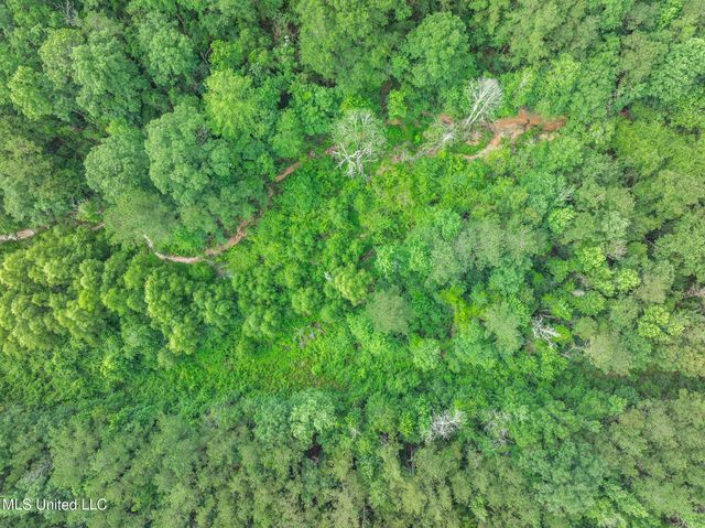 40 Acres Hwy 35, Mount Olive, MS 39119