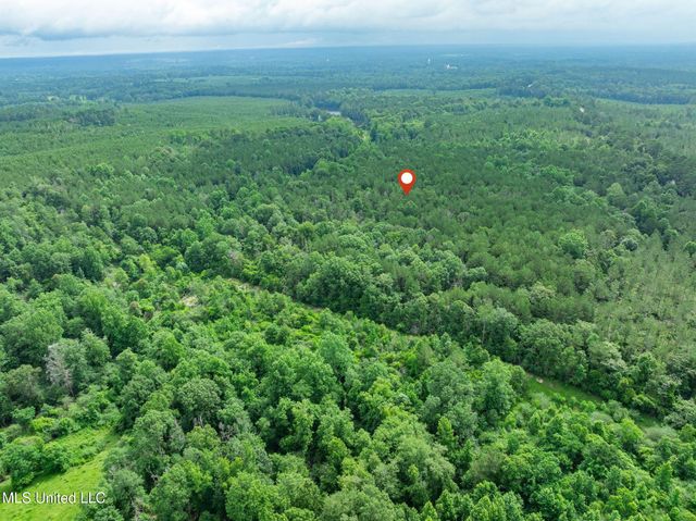 40 Acres Hwy 35, Mount Olive, MS 39119