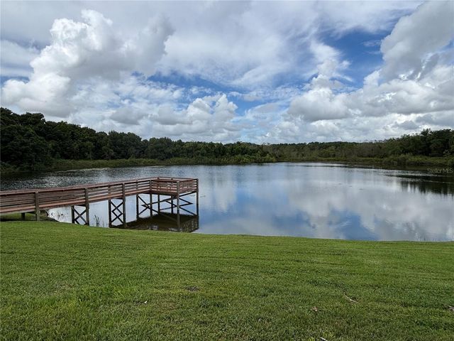 2541 AMYRIS COURT 611, Zellwood, FL 32798