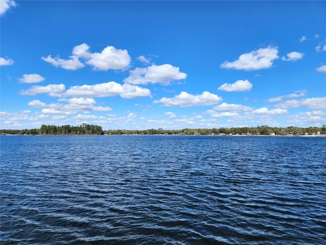 10915 NE 222ND STREET, Fort Mc Coy, FL 32134