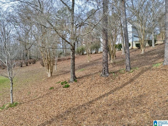 45 AUTUMN LANE, Montevallo, AL 35115