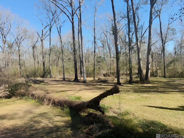 18718 Ducros Rd, Prairieville, LA 70769