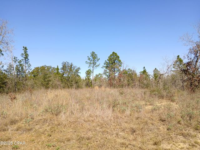 Lot 11 Telford Street, Chipley, FL 32428