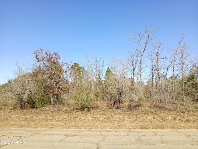 Lot 11 Telford Street, Chipley, FL 32428