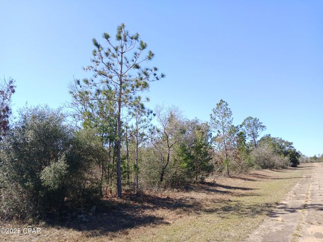 Lot 11 Telford Street, Chipley, FL 32428