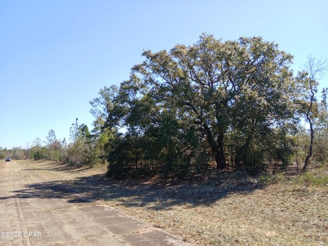 Lot 11 Telford Street, Chipley, FL 32428