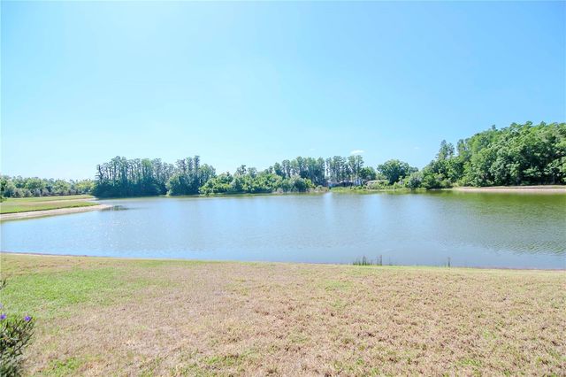 3814 EVERGREEN OAKS DRIVE, Lutz, FL 33558