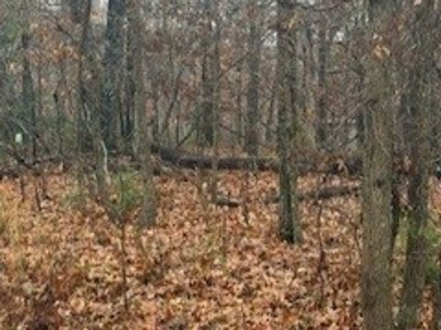 Westbury Drive, Bella Vista, AR 72714