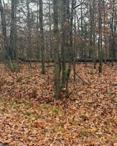 Westbury Drive, Bella Vista, AR 72714