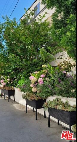 1237 S Holt Avenue 201, Los Angeles, CA 90035