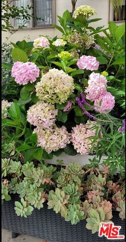 1237 S Holt Avenue 201, Los Angeles, CA 90035