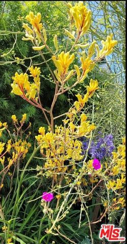 1237 S Holt Avenue 201, Los Angeles, CA 90035