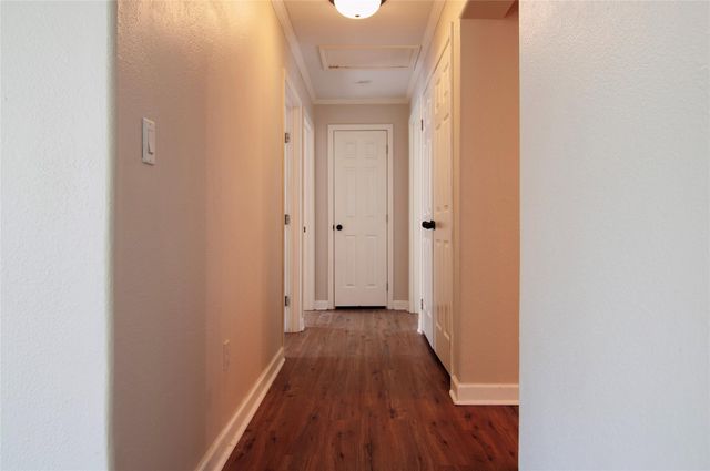14203 E Ravine Run, Willis, TX 77318