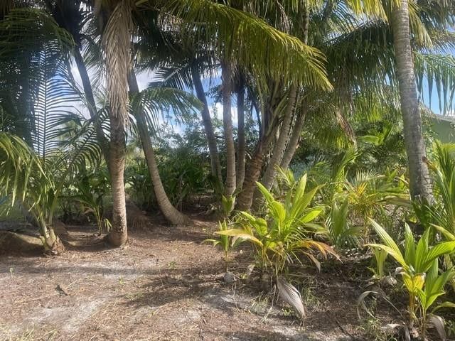 4656 Lillian Avenue, Palm Beach Gardens, FL 33418