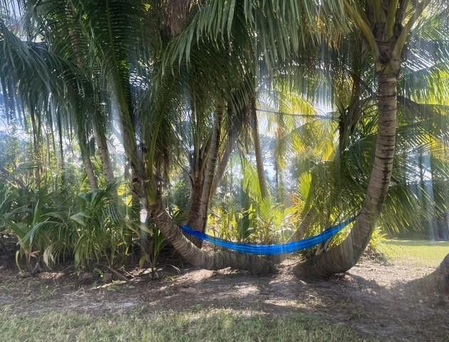 4656 Lillian Avenue, Palm Beach Gardens, FL 33418