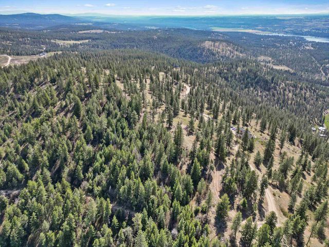 6700 Saddle Mountain Way, Nine Mile Falls, WA 99026