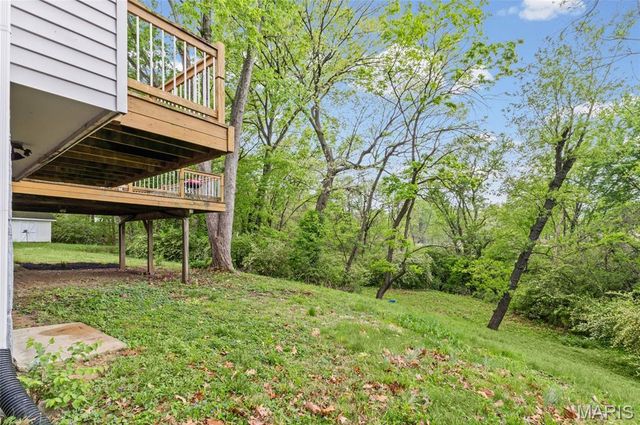 795 Creekwood Manor Court, Mehlville, MO 63125