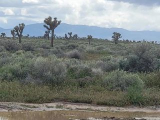 0 E AVE H, Lancaster, CA 93535