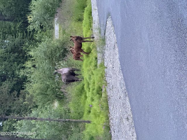 1908 N Pitman Road, Wasilla, AK 99623