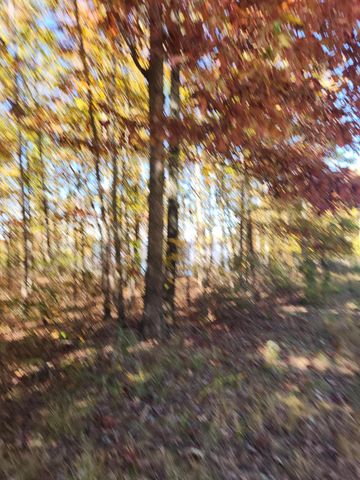 200 Salolee Circle 256, South Pittsburg, TN 37380