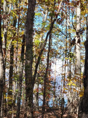 200 Salolee Circle 256, South Pittsburg, TN 37380