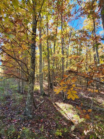 200 Salolee Circle 256, South Pittsburg, TN 37380