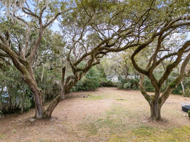 1042 Chambers Lane, Mount Pleasant, SC 29464