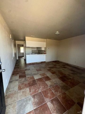 3901 N Raul Longoria Road, San Juan, TX 78589