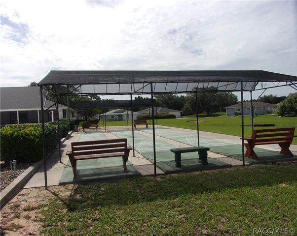 10494 S Drew Bryant Circle, Floral City, FL 34436