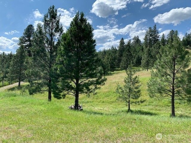 35 Low Ridge Road, Malo, WA 99150